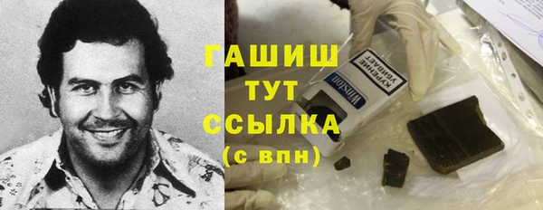 стаф Алзамай