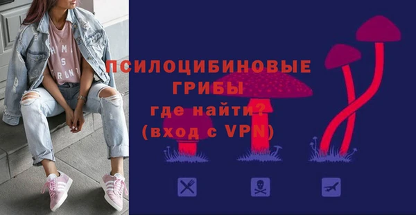 твердый Алексеевка