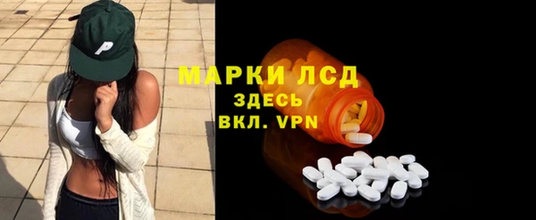 стаф Алзамай