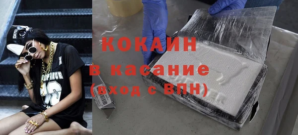 стаф Алзамай