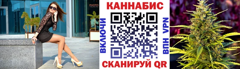 darknet наркотические препараты  наркошоп  OMG маркетплейс  Андреаполь  Каннабис ГИДРОПОН 